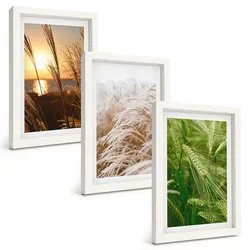 BILDER SET 3er Set - 20x30 cm Weißer Rahmen - Gräser farbenfrohe Natur