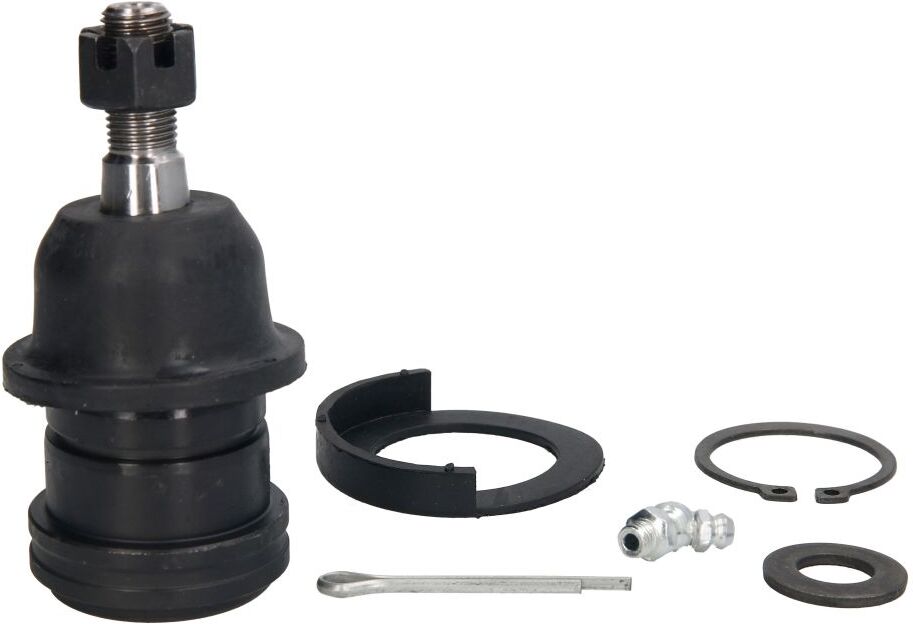 Reinhoch Giunto di sospensione RH03-6008