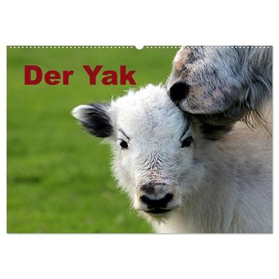 Der Yak (Wandkalender 2027 DIN A2 quer), CALVENDO Monatskalender