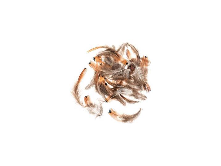 Glorex Fasanen-Federn 10 g