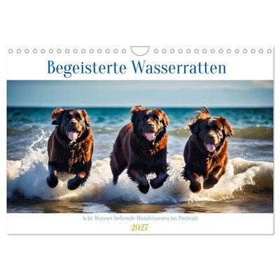 Begeisterte Wasserratten (Wandkalender 2027 DIN A4 quer), CALVENDO Monatskalender