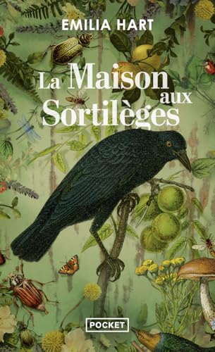 Emilia Hart - La maison aux sortilèges - Preis vom 09.10.2026 07:28:09 h