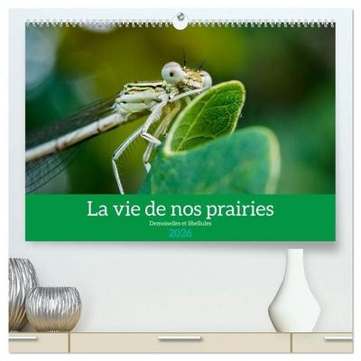 La vie de nos prairies - Demoiselles et libellules (Calendrier mural 2026 DIN A2 vertical) calendrier de bureau
