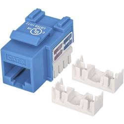 Intellinet 210737 RJ45-Einbaumodul Keystone CAT 6 1 St.
