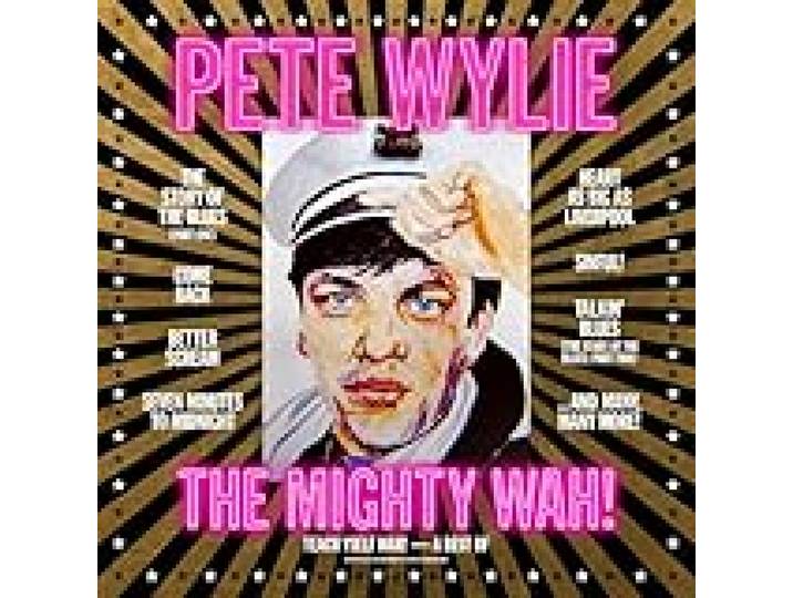 Teach Yself Wah/the Best of Pete Wylie
