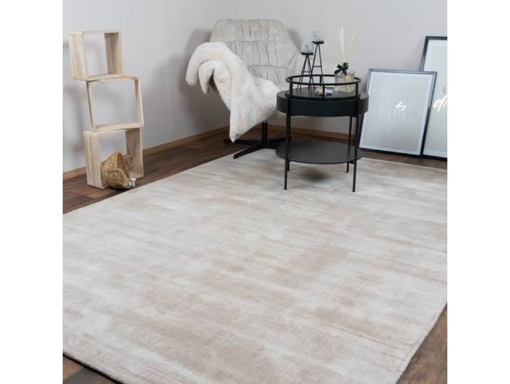 CONSILIO CONCEPT 160 x 230 Tapis Salon Beige Nobel Brillance de la soie Viscose luxueuse moderne douce luxueuse douce