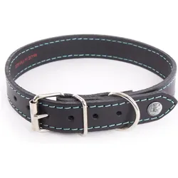 Martin Sellier Flash (35, Hund, Allgemein, Spazieren), Halsband + Leine