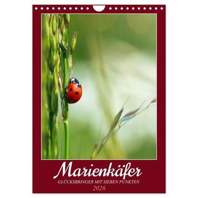 Marienkäfer, Glücksbringer mit sieben Punkten (Wandkalender 2026 DIN A4 hoch), CALVENDO Monatskalender