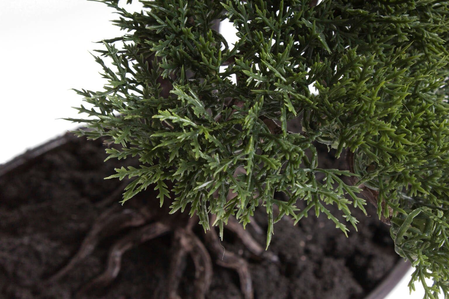 Kunstbonsai BOTANIC-HAUS "Cedern Bonsai", grün (dunkelgün), B:37cm H:42cm T:37cm Ø:37cm, Kunststoff, Kunstpflanzen, Kunstbonsai