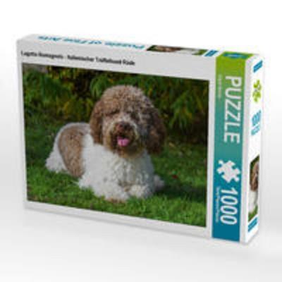 CALVENDO Puzzle Lagotto Romagnolo - Italienischer Trüffelhund Rüde 1000 Teile Lege-Größe 64 x 48 cm Foto-Puzzle Bild von Sigrid Starick