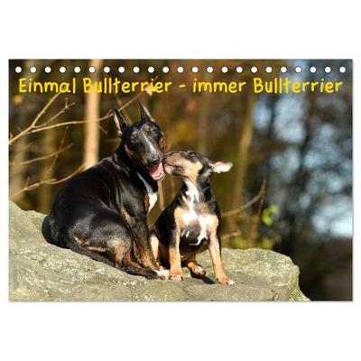 Einmal Bullterrier - immer Bullterrier (Tischkalender 2026 DIN A5 quer), CALVENDO Monatskalender