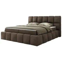 Boxbett mit Bettkasten  ¦ braun ¦ Maße (cm): B: 194 H: 113
