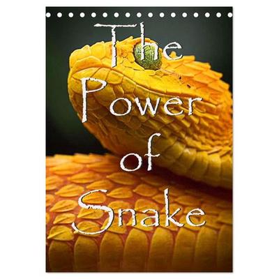 The Power Of Snake (Tischkalender 2027 DIN A5 hoch), CALVENDO Monatskalender