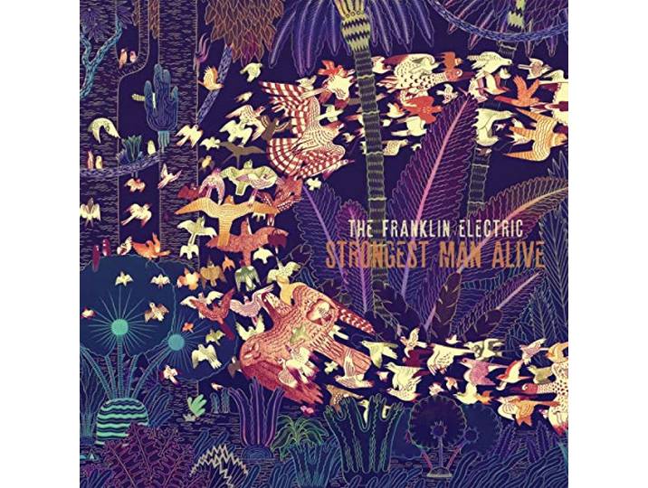 The Franklin Electric - This Is How I Let You Down