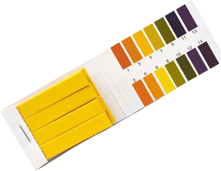 Natural Heroes PH-Strips - 100 strips
