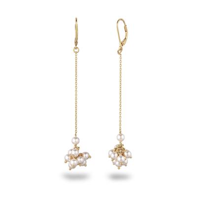 Paar Ohrhänger ELLI "Ohrringe Ohrhänger mit Perlen von Swarovski(R) Weiß 925 Sterling Silber vergoldet" Gr. 75, gold, Ohrringe, Damen, 75, Silber 925 (Sterlingsilber)