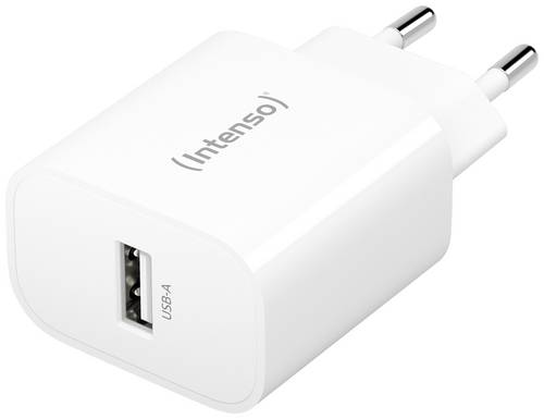 Intenso W5A USB Ladegerät 5W 1x USB-A Weiß Innenbereich