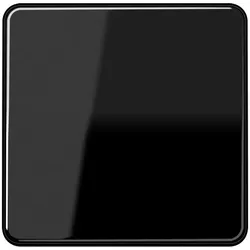 Jung Steuertaste Standard CD 1700 SW