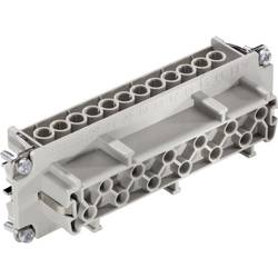 LAPP 10401300 Buchseneinsatz EPIC® H-BE 24 Gesamtpolzahl 24 + PE 5 St.