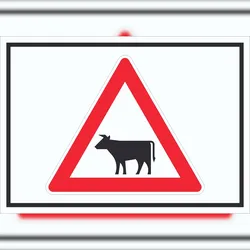 HB-Druck Schild Achtung Viehbetrieb Tiere Symbole A6 (105x148mm)
