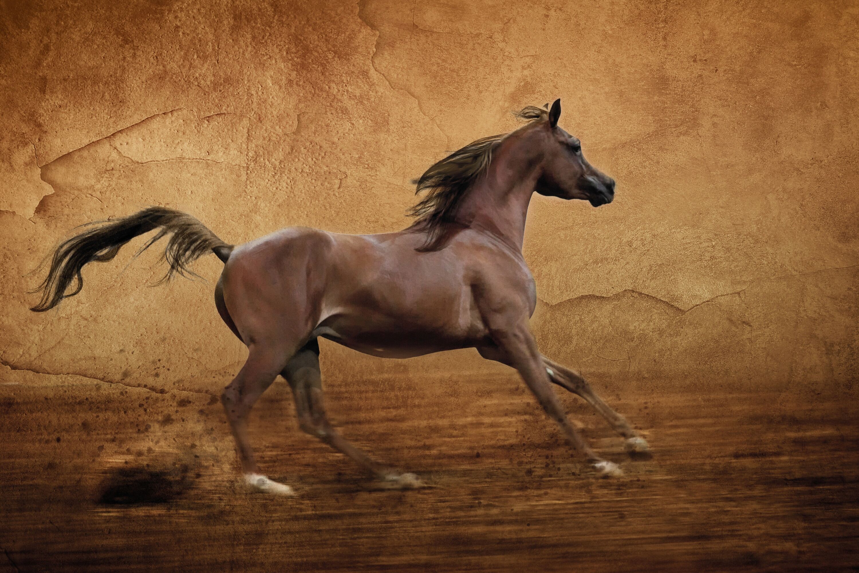 Fototapete PAPERMOON "PFERD-RUNNING ARABER IM ARENA GALOPP TIER MAUER SAND", bunt, B:4,5m L:2,8m, Vlies, Tapeten, Fototapete bunt B/L: 4,5m x 2,8m, Bahnen: 9 Stk.