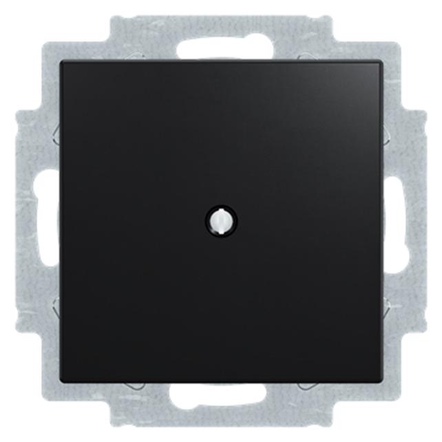 ABB basic55 Blindabdeckung mit Kabelzugentlastung für bis zu Ø10mm Kabel, mattschwarz, 1 Modul (2CHP771710A3772)