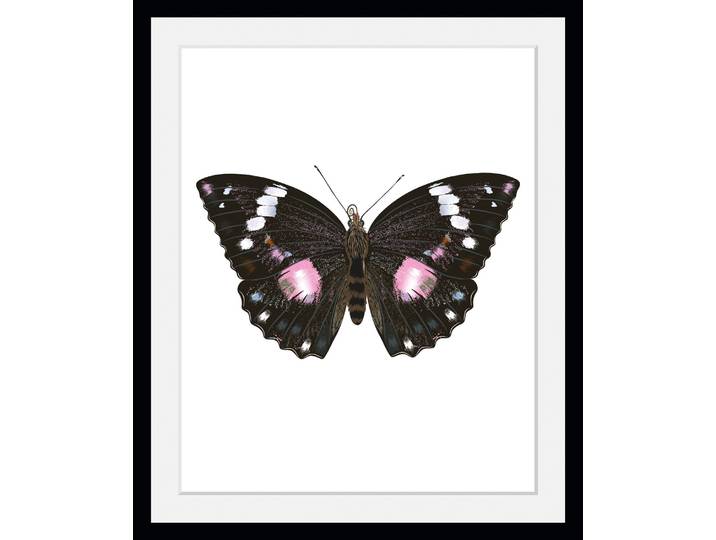 Bild QUEENCE Marissa , lila (farbe rahmen: schwarz, farbe bild(er): lila), B:30cm H:40cm, Acrylglas, Holz, Papier, Bilder, Bild, HD Premium Poster-Druck inkl. Holzrahmen