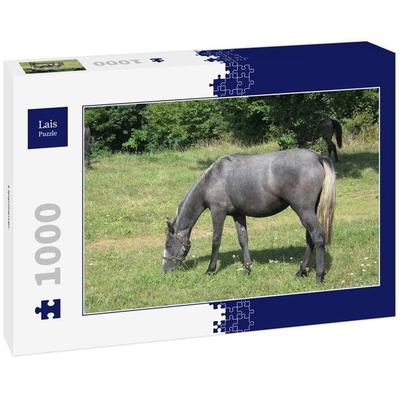 Lais Puzzle Lippizaner 1000 Teile