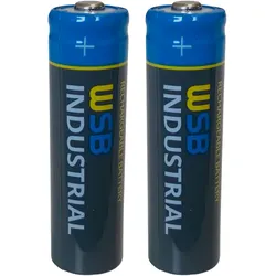 2x WSB Industrial IFR 14500 AA Solar Akku LiFePO4 3,2V 600mAh AMZ