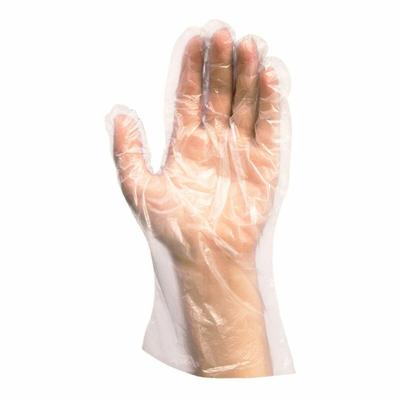 VEPATIM 500x PE-Einweghandschuhe für Herren transparent