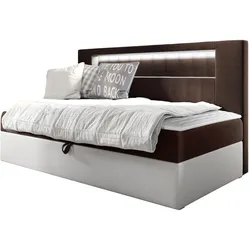 BOXBETT Gold Junior 2 - H3