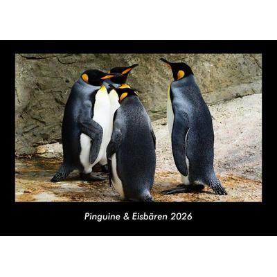 Pinguine & Eisbären 2026 Fotokalender DIN A3