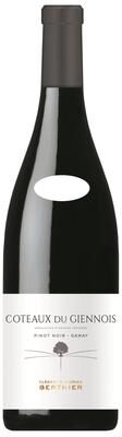 """Clement & Florian Berthier""" """Clement & Florian Berthier Coteaux du Giennois Rouge 2023 Red Wine - France"""