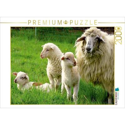 CALVENDO Puzzle Schaf mit Lämmern | 2000 Teile Lege-Größe 90 × 67 cm Foto-Puzzle für glückliche Stunden, von , Calvendo Puzzle
