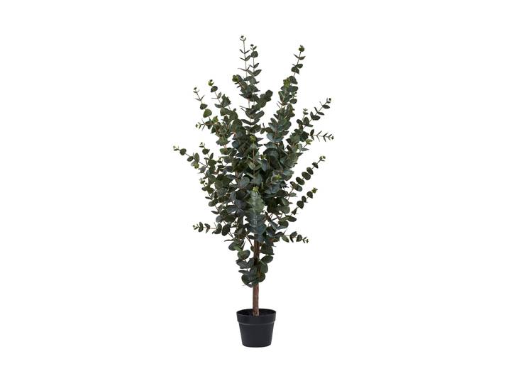 Lebensechte Kunstpflanze „Eucalyptus Nori“ Grün, Braun Nordic Living