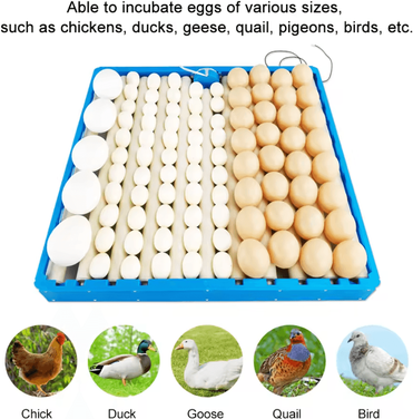 Inspire Curations 70 108 Egg Automatic 360 Degree Incubator Turner Roller Tray us Plug