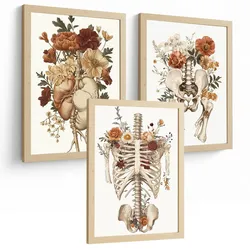 POSTER Set aus 3 Anatomie Mensch Florale Vintage Drucke und Wandbilder mit Herz Brustkorb und Becken Wanddekoration Größe Leichter Holzrahmen A4