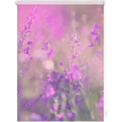Lichtblick Rollo Klemmfix, ohne Bohren, blickdicht, Blumenwiese - Fuchsia Violett
