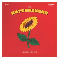 Underdog Reco, Schallplatten, Lessons In Love (180Gr.) (The Buttshakers)