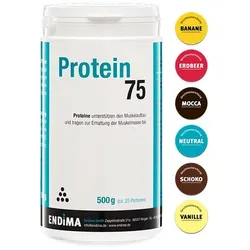 PROTEIN 75 neutral Pulver 500 g