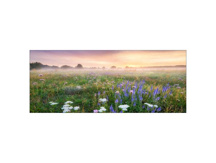 Tableau verre Morning Haze Matériau : Verre Motif : Floral Motif : Fleurs, Paysages & montagnes, Soleil & couchers de soleil, Arbres, plantes &