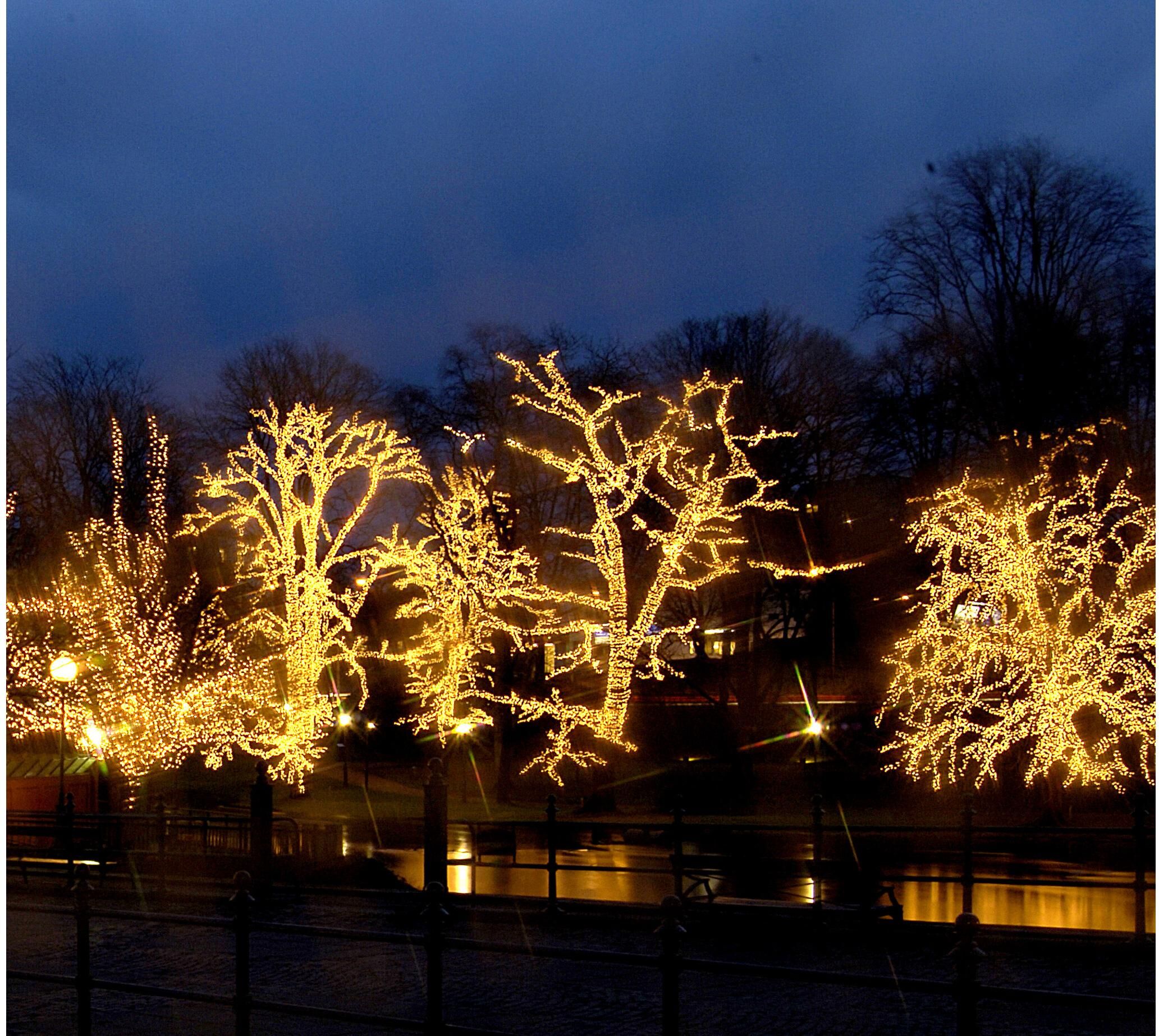 Lichterkette "LED Extra Icicle, 200 x 100 cm", gold (schwarz), Kabellänge 2m x Gesamtlänge 2m, PARFORCE TRADITIONAL HUNTING, Lichterketten, Lichterkette schwarz Kabellänge 2m x Gesamtlänge 2m