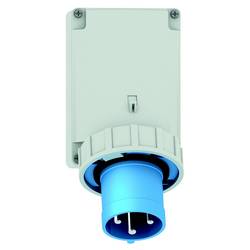 Bals Elektrotechnik 24340 24340 CEE Anbaustecker 63.0 A 3polig 230 V 1 St.