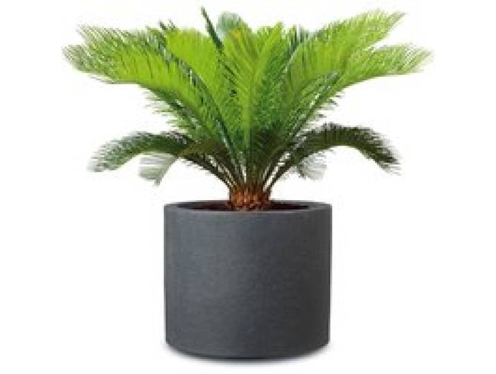 SCHEURICH Pot à plantes « Riva », plastique, rond (noir granit, 50 cm)