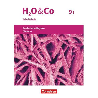 H2O & Co - Realschule Bayern 2020 - 9. Schuljahr - Wahlpflichtfächergruppe I, Taschenbuch von Peter Pfeifer,Matthias Niedermeier,Christian