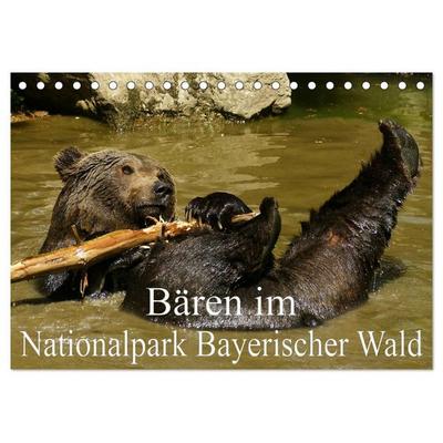 Bären im Nationalpark Bayerischer Wald (Tischkalender 2027 DIN A5 quer), CALVENDO Monatskalender