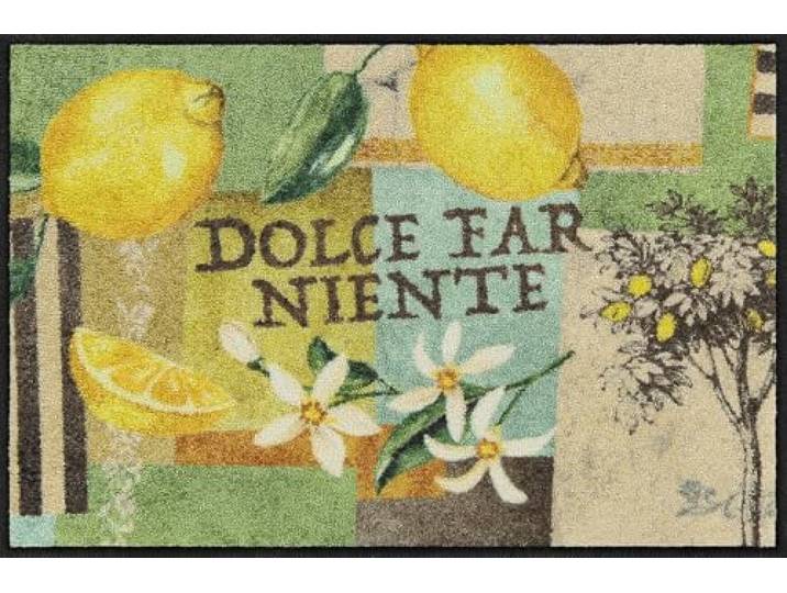 Salonloewe Fussmatte Dolce Far Niente I Schmutzfangmatte & Fußabtreter für Innen 50 x 75 cm