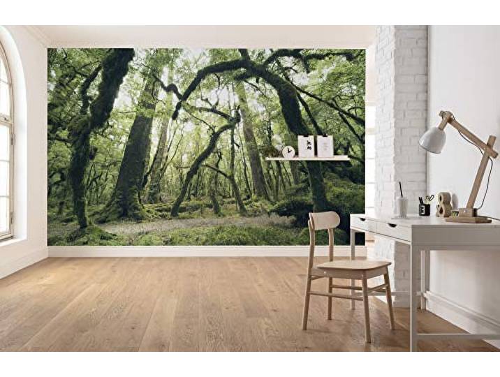 Komar Vlies Fototapete ANCIENT GREEN Tapete, XXL, Dekoration, Natur, Landschaft, Schlafzimmer, Wohnzimmer, Büro, Flur Größe 450 x 280 cm (Breite x Höhe) SHX9-104