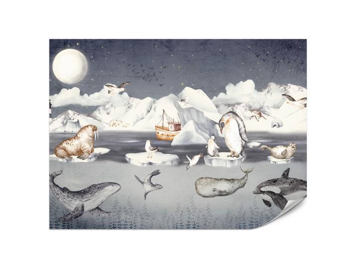Muralo Fototapete für Kinderzimmer Arktische Tiere Pinguine Robben Mond Gebirge 450x315, Orange, Weiß, Grau, Papier, Märchen/ Fantasie, Tiere, Rechteckig, 450x315 cm, Tapeten & Wandverkleidungen, Fototapeten
