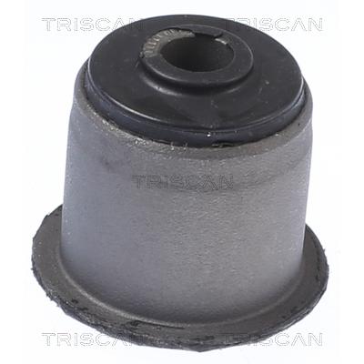 TRISCAN Lagerung, Lenker 8500 44800 für SSANGYONG